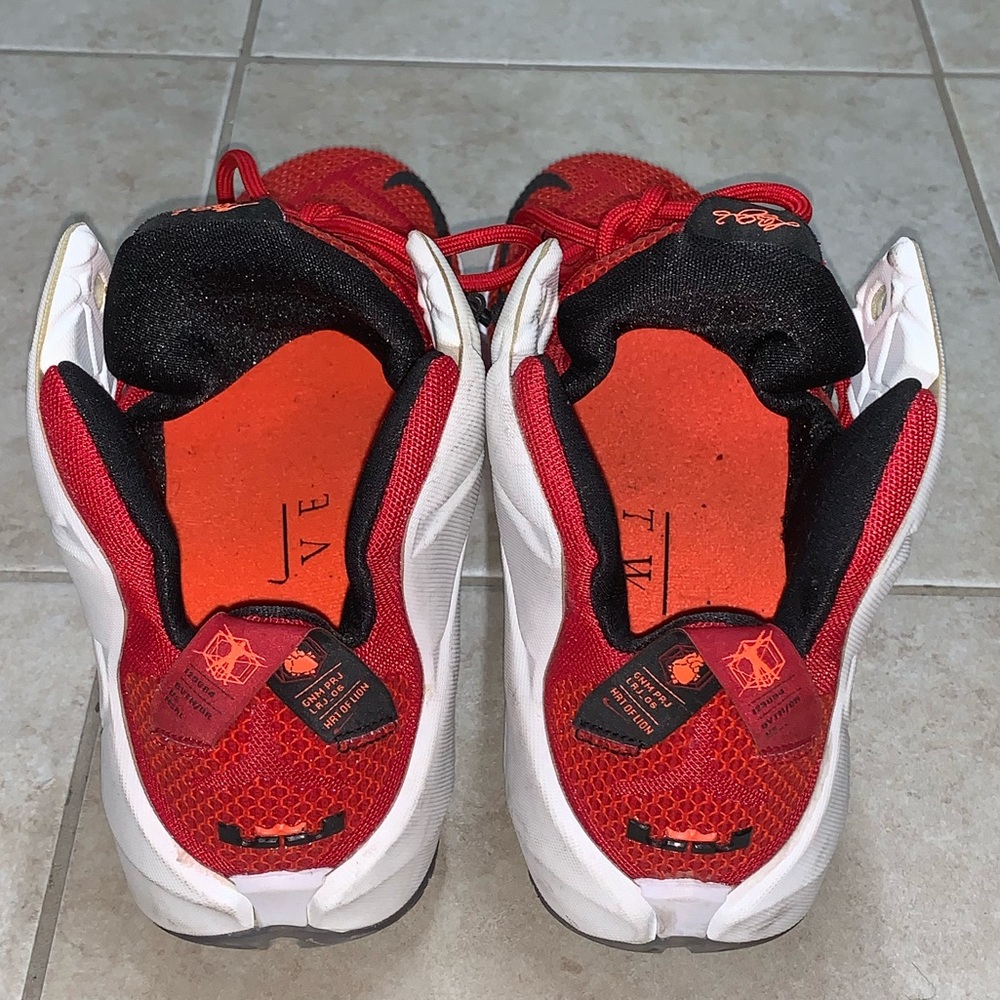 Nike Lebron 12 "Heart Of A Lion" Size 10 View 4